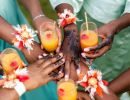 cocktails  